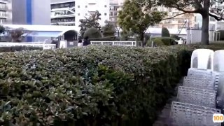 天津光辉钢铁贸易有限公司
